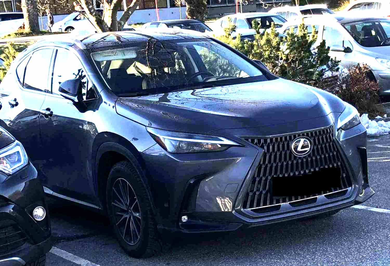 Lexus NX 450H 450h+ F Sport
