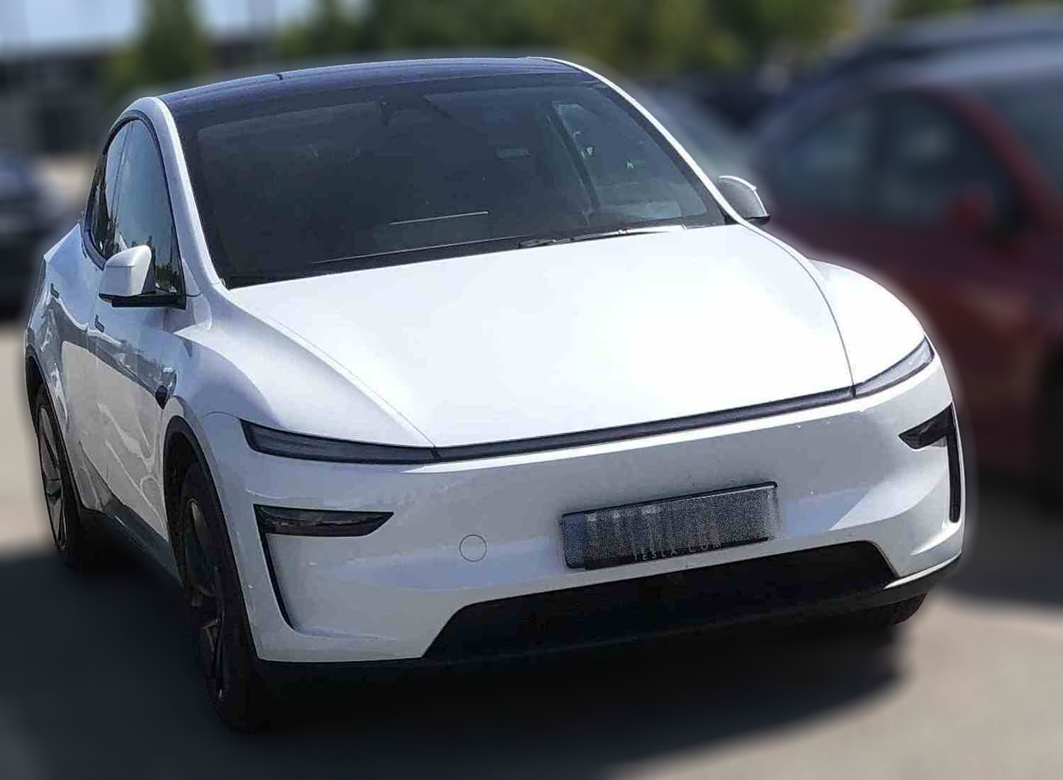 Tesla Y AWD Performance_-25 (Juniper)