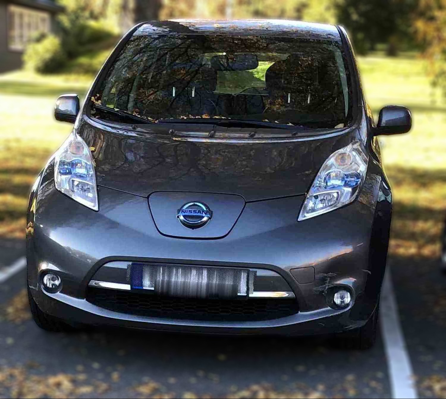 Nissan Leaf 24 kWh, 109 hk, 14 mod