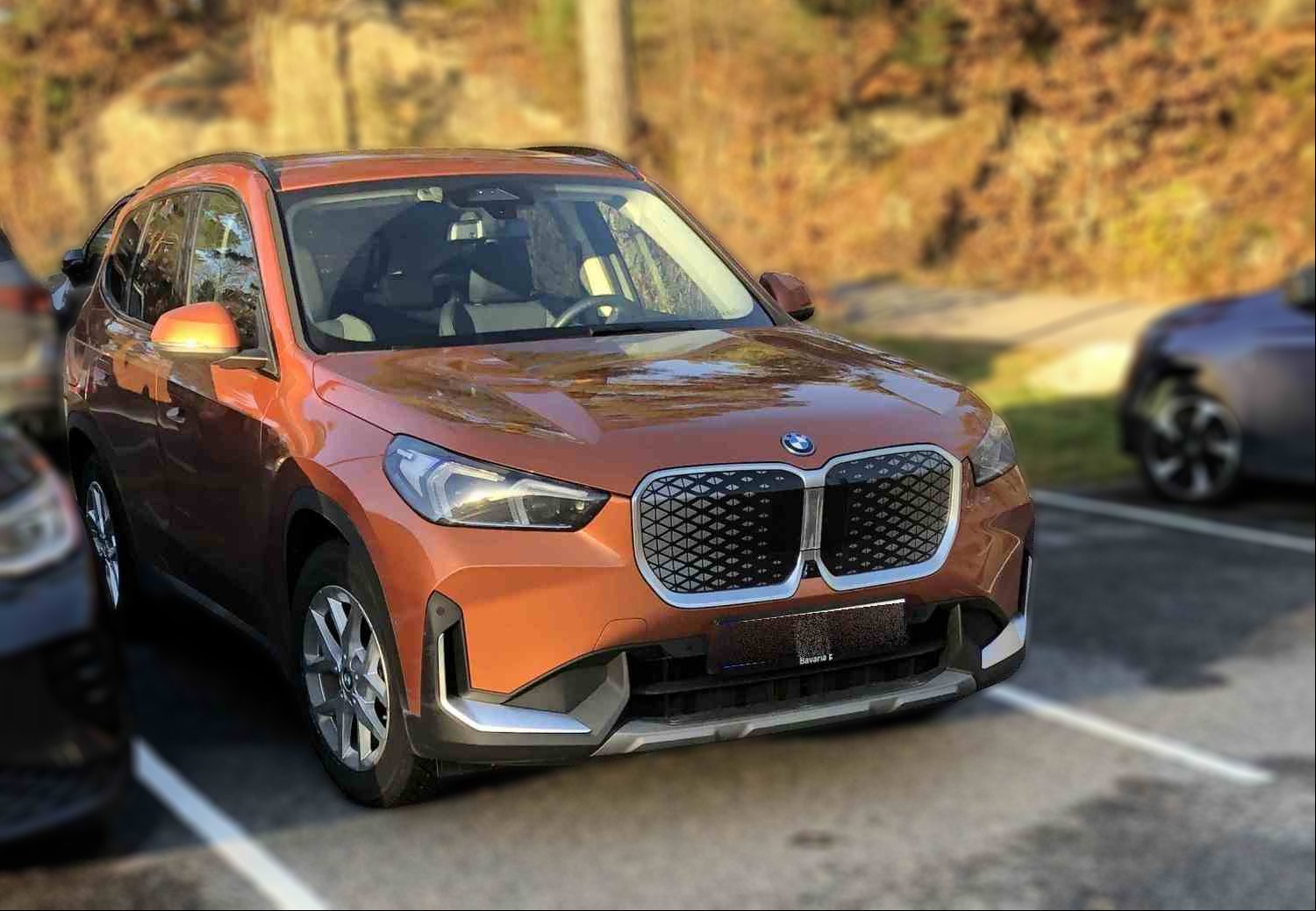 BMW IX1 iX1 xDrive30 25mod,1