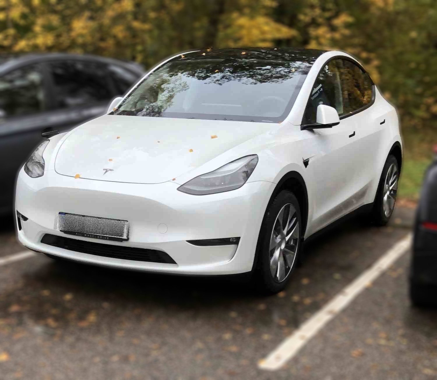 Tesla Y Standard range