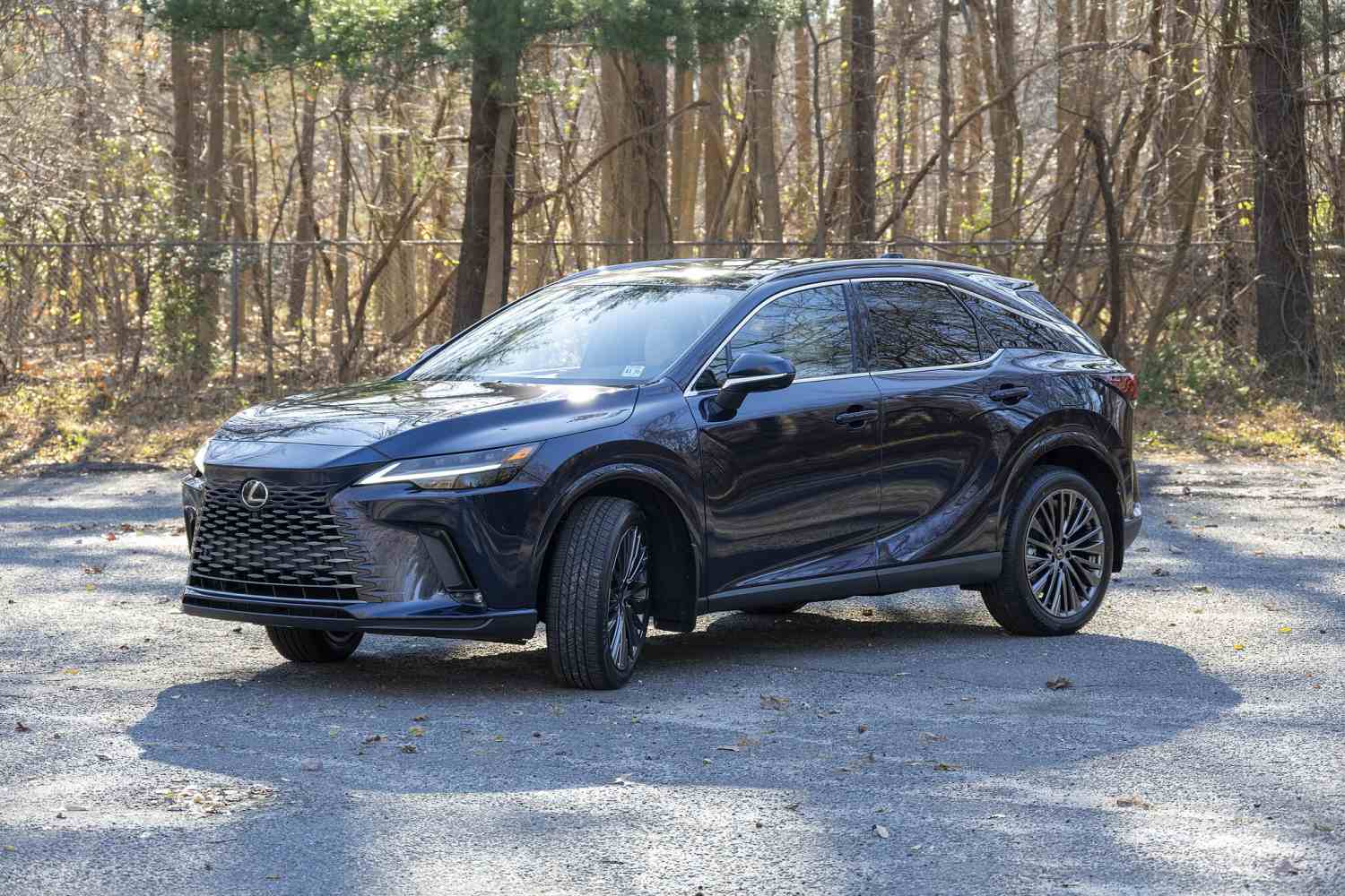Lexus RX 450h+ Luxury