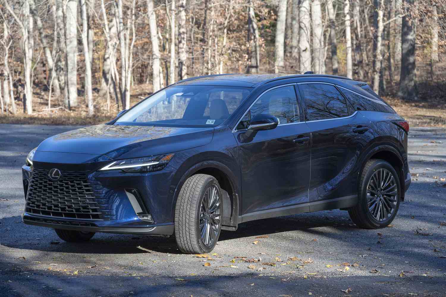 Lexus RX 450h+ Luxury Panorama