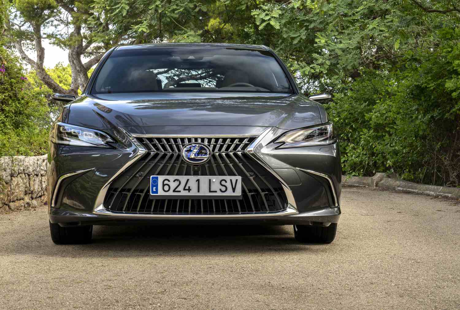 Lexus ES 300h Luxury Tech