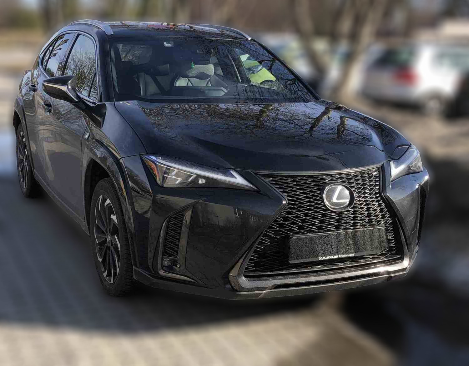 Lexus UX 250 250h AWD Luxury Sun