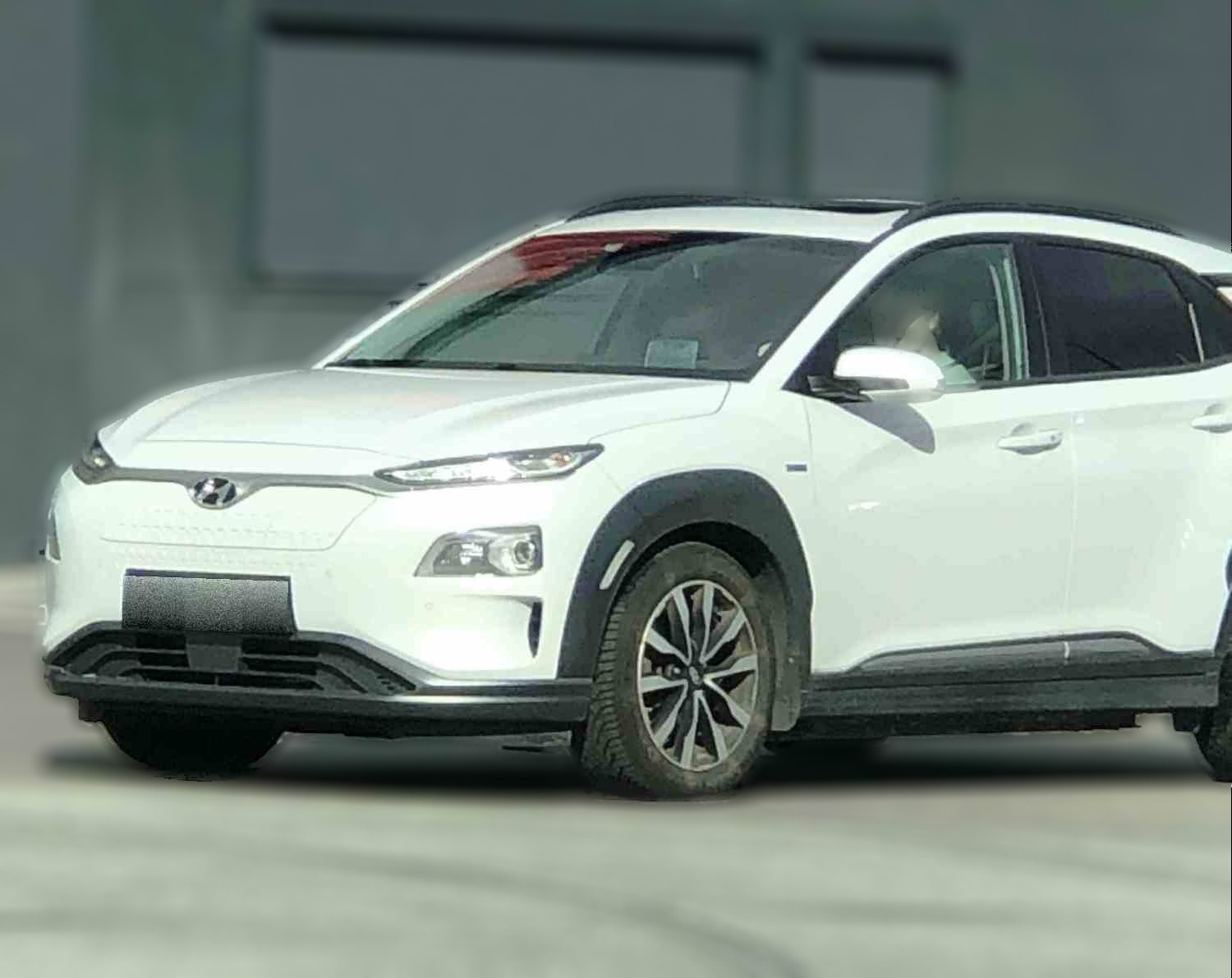 Hyundai Kona Electric Life Long Range