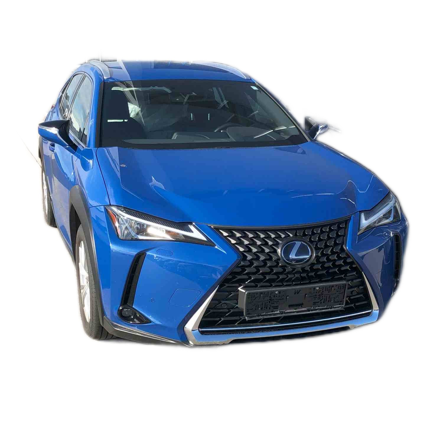 Lexus UX 300e 300e luxury