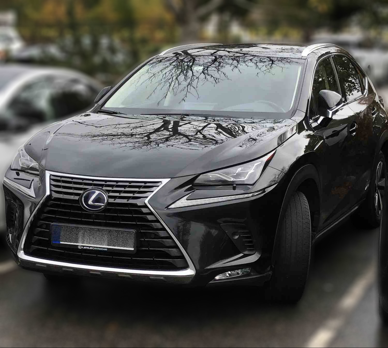 Lexus NX 300H 300h Comfort