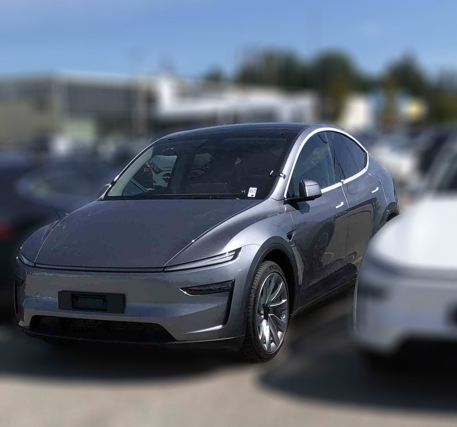Tesla Y Standard range_-24