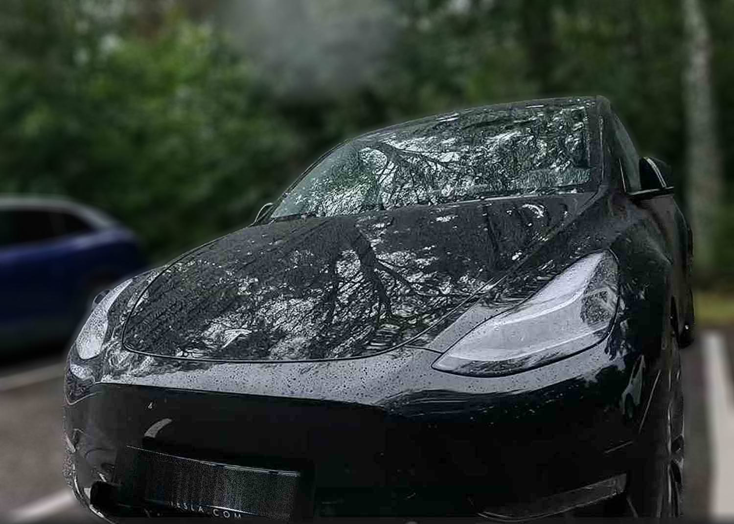 Tesla Y Performance_-24