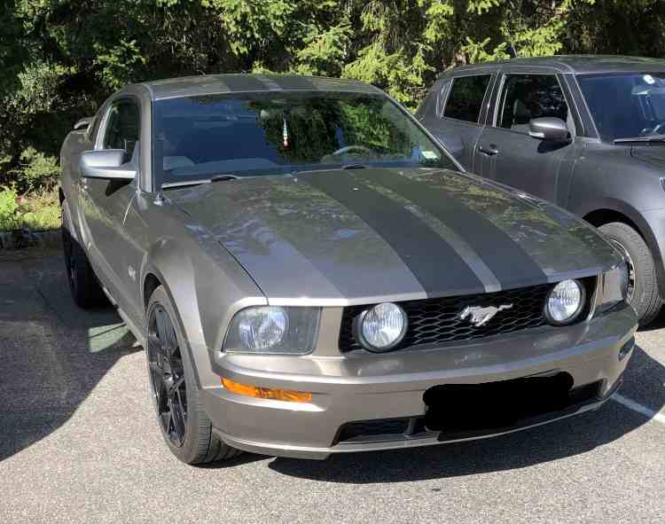 Ford Mustang V GT 4.6i V8 (304 hk)
