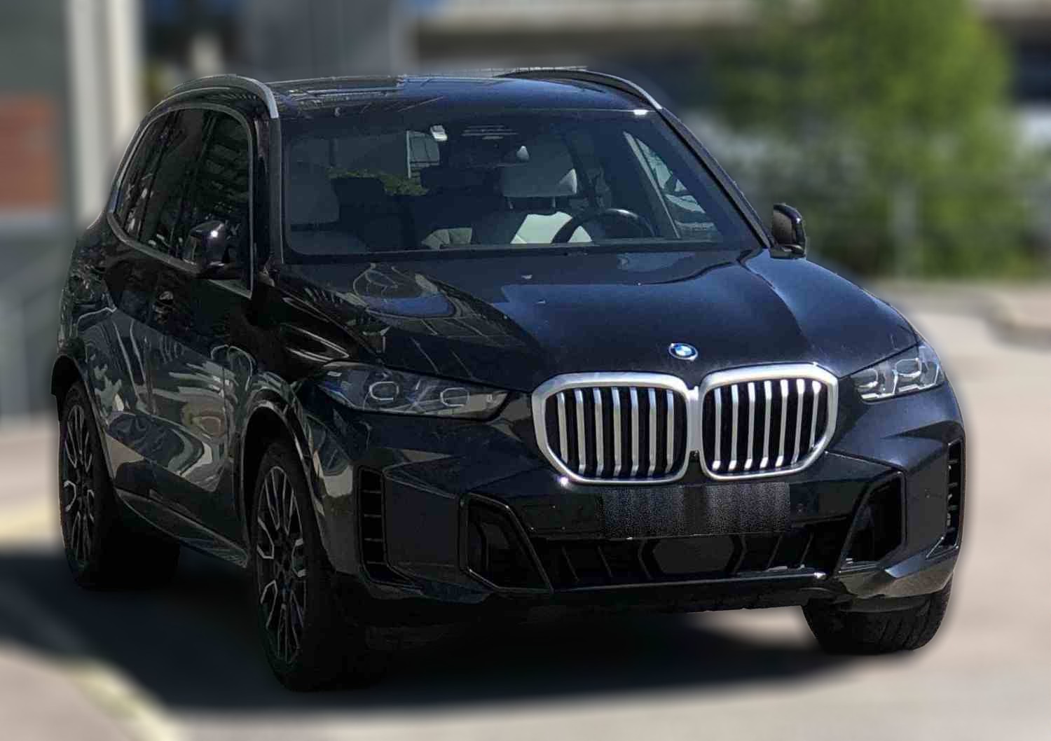 BMW X5 X5 xDrive50e 24mod