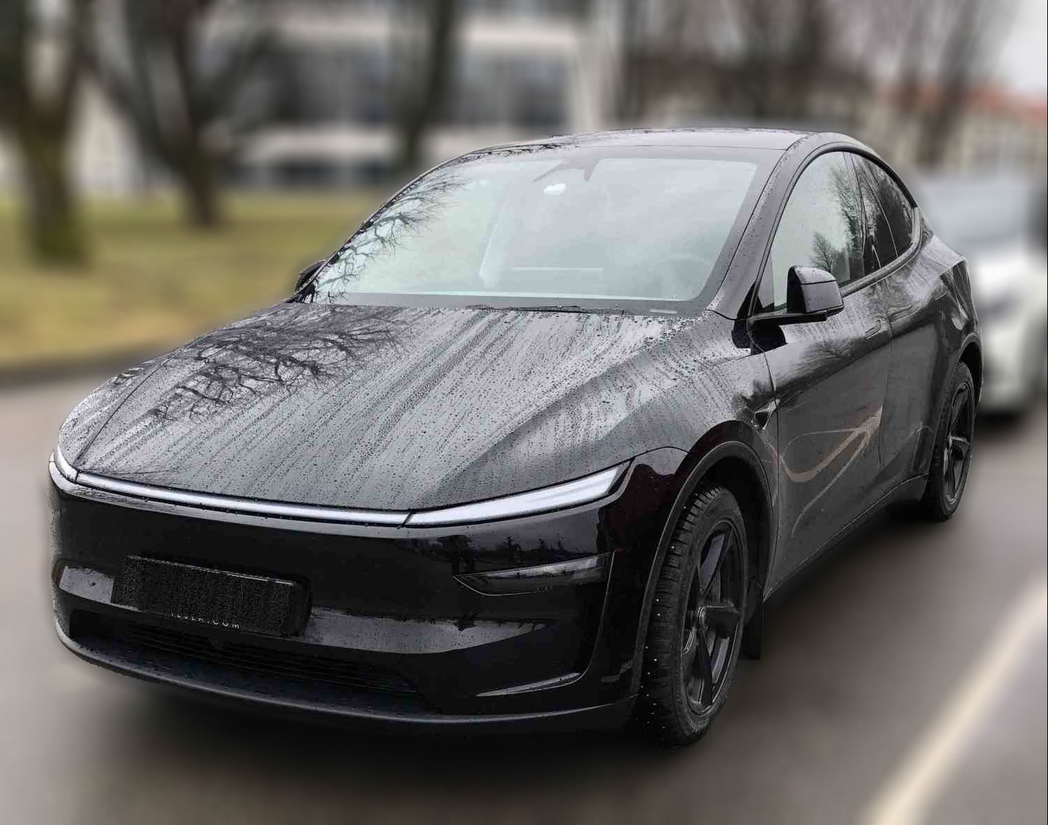 Tesla Y AWD Performance-25mod