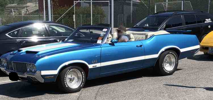 Oldsmobile Cutlass 442 cabriolet