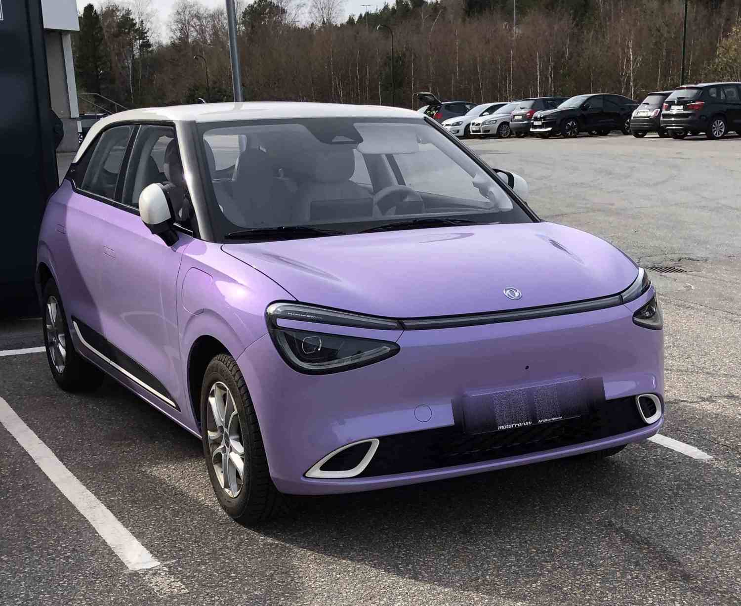 Dongfeng Nammi Box Nammi BOX 310 km Long Range Lilla 25mod
