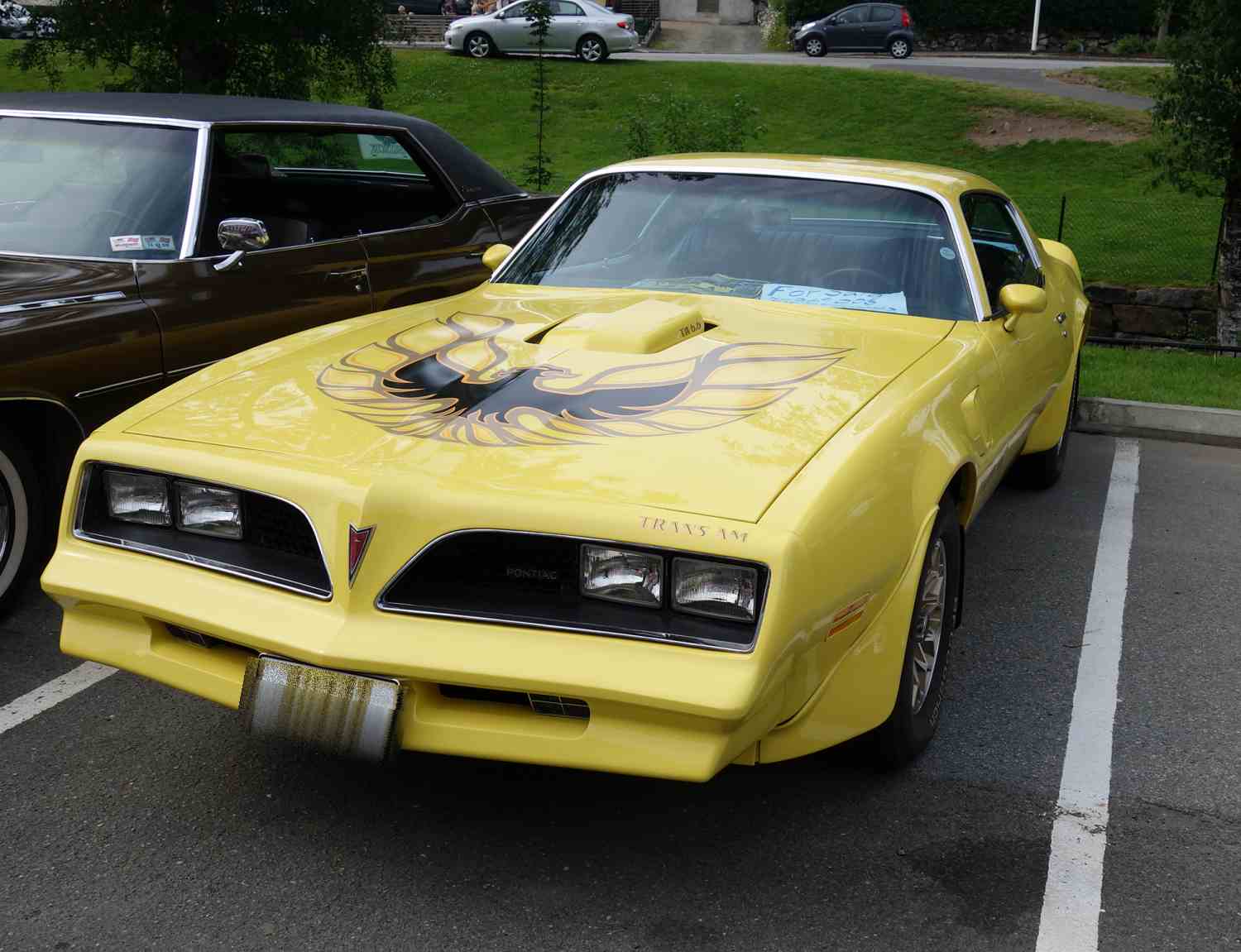 Pontiac Firebird - TransAm TransAm 6,6 203hk 77mod