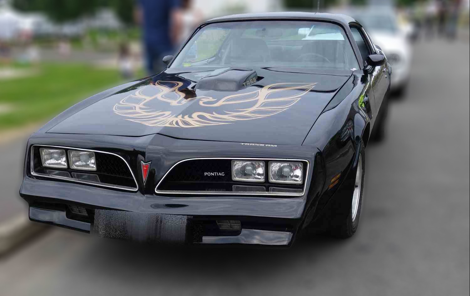 Pontiac Firebird - TransAm TransAm 6,6 77mod 182hk