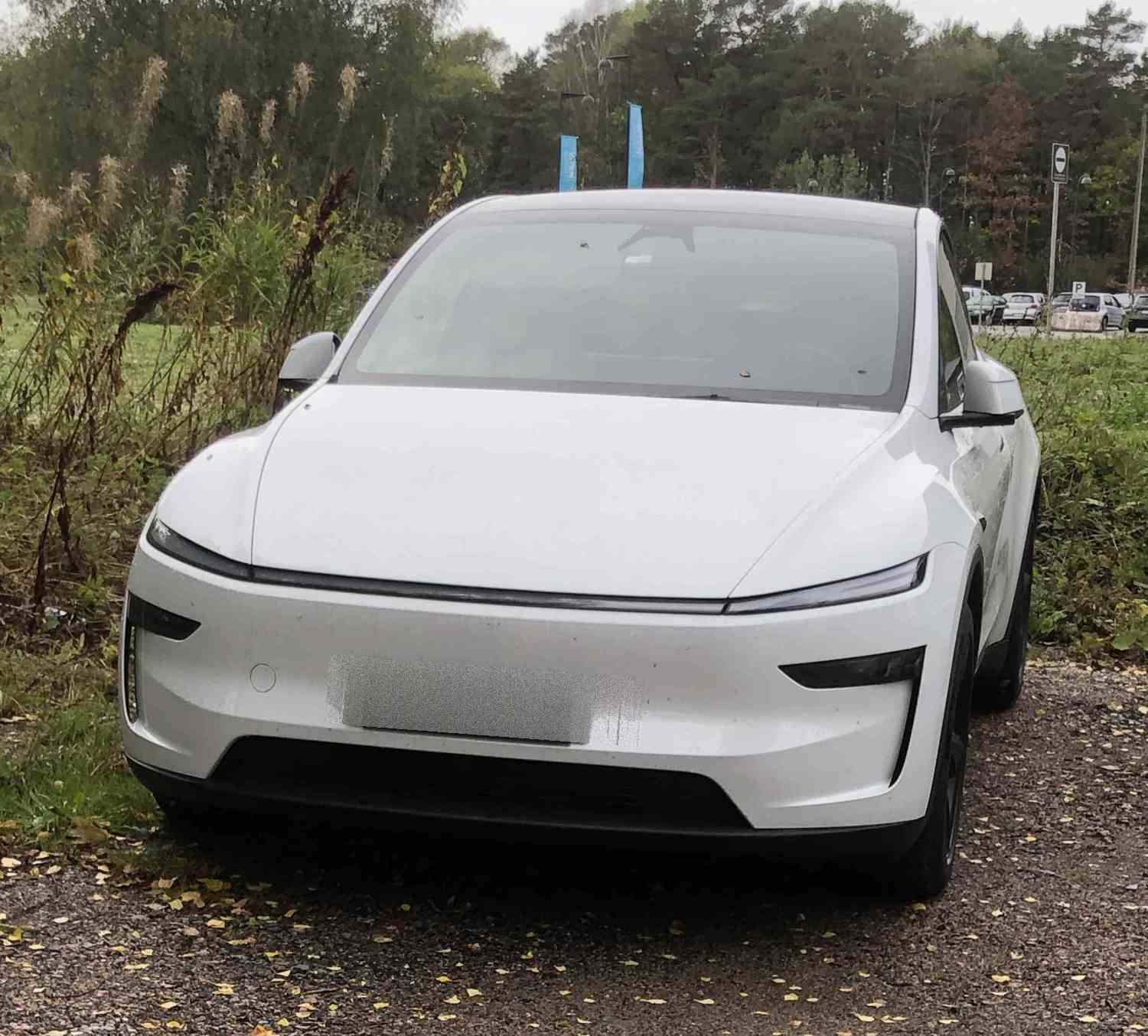 Tesla Y AWD long range- Single Speed