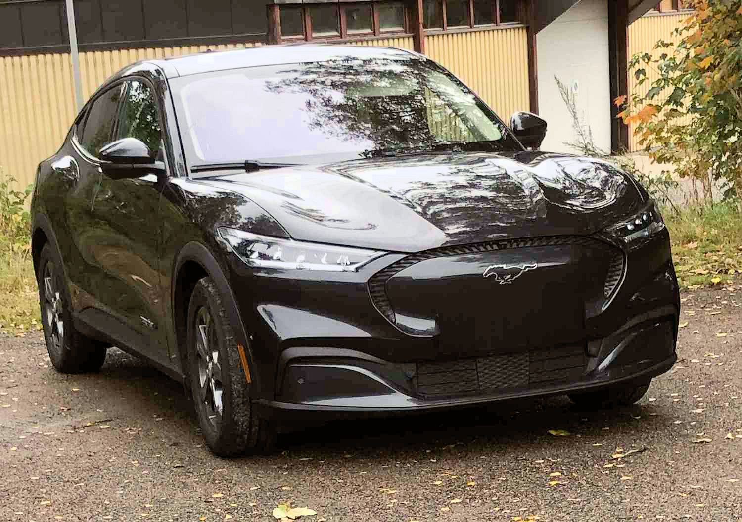 Ford Mustang-Mach-E Long range RWD sort