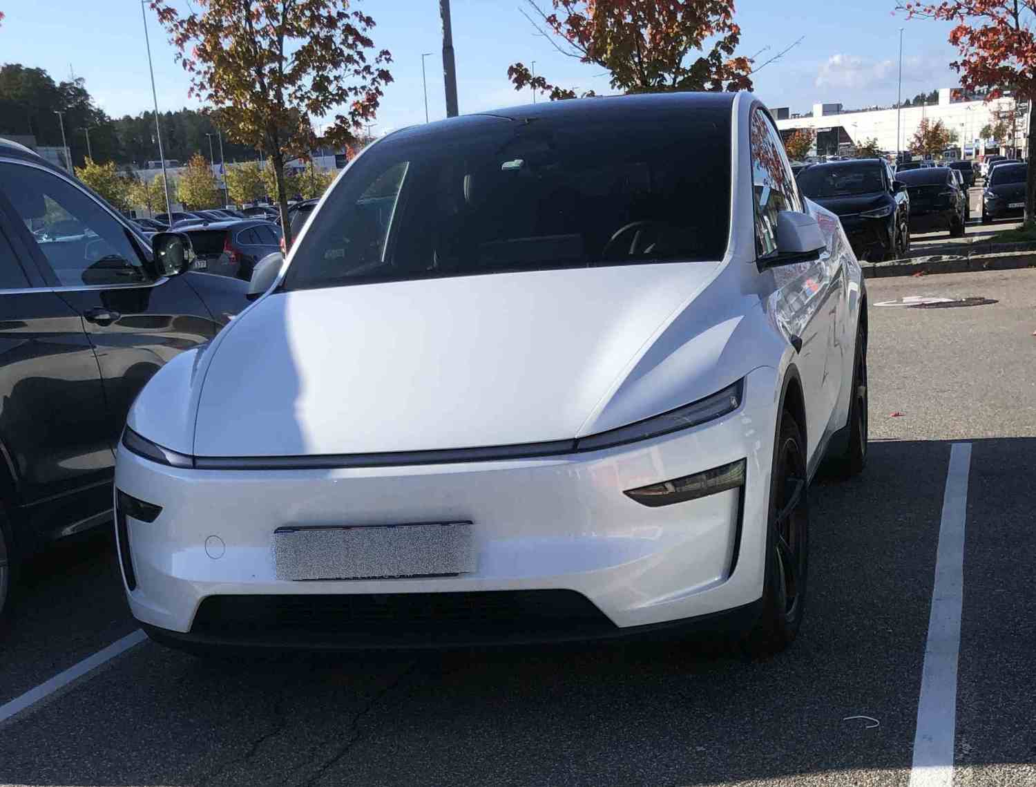 Tesla Y AWD long range- hvit