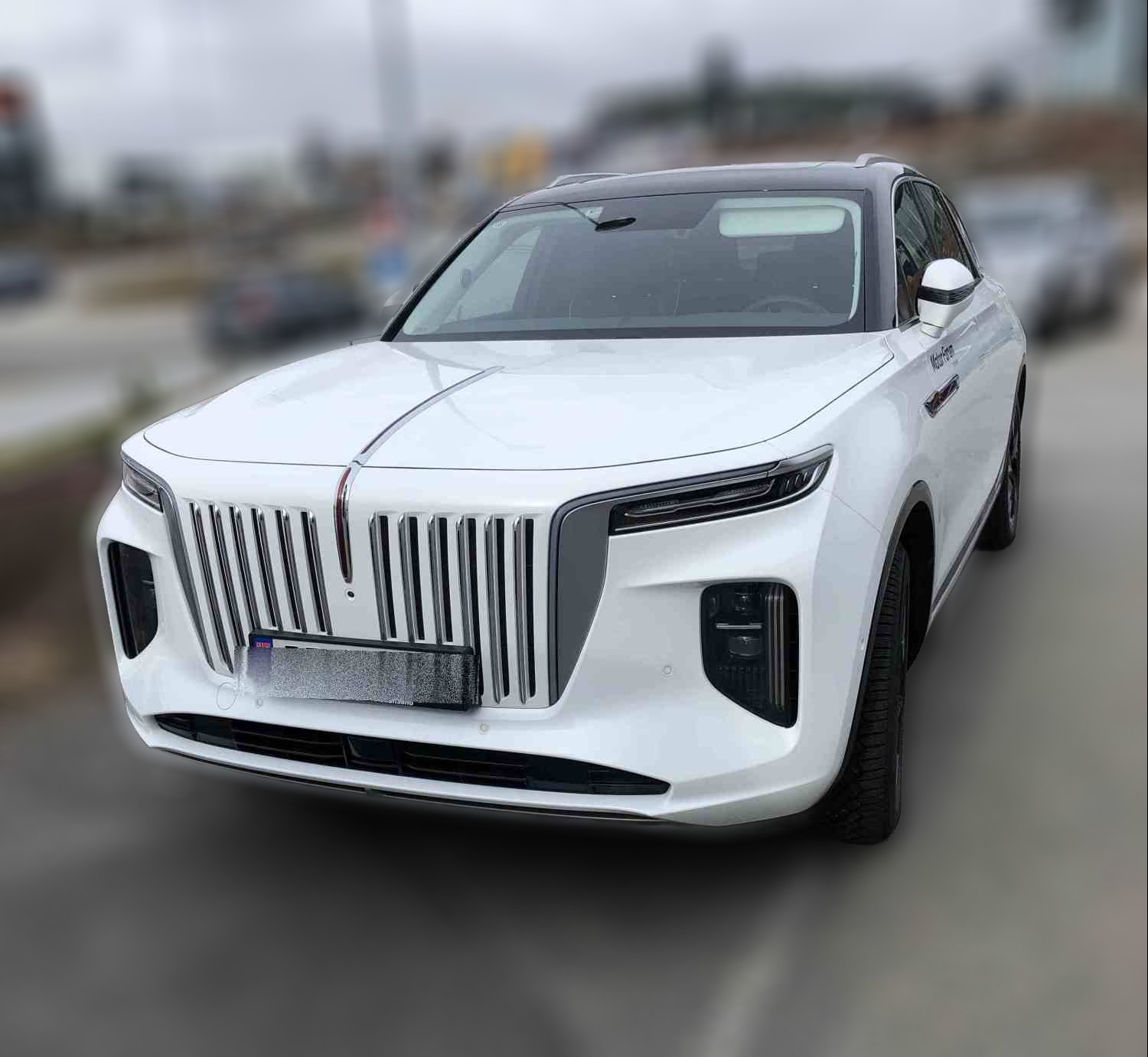 Hongqi E-HS9 HS9 Exclusive +