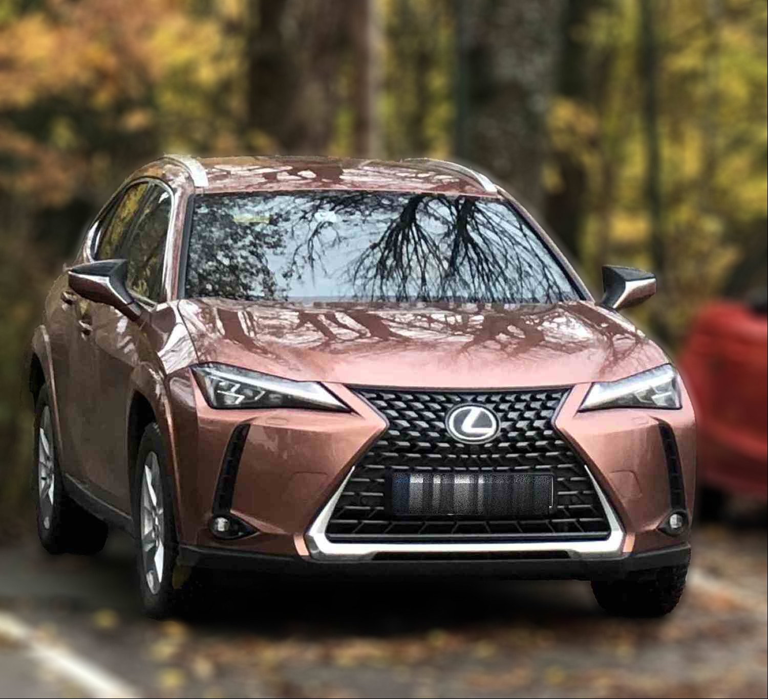 Lexus UX 300e 300e premium Tech plus