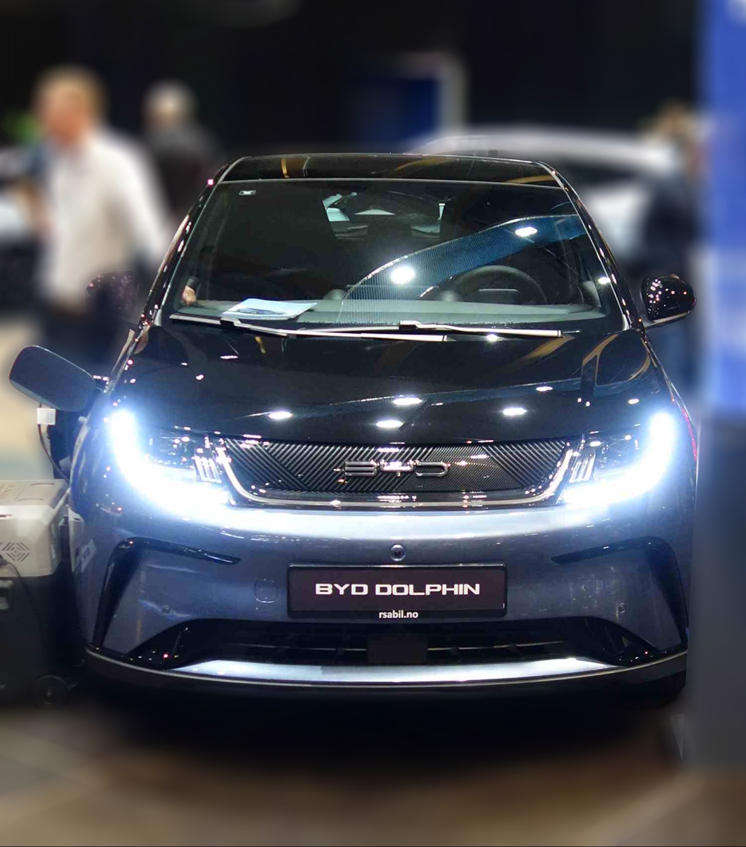 BYD Dolphin Design