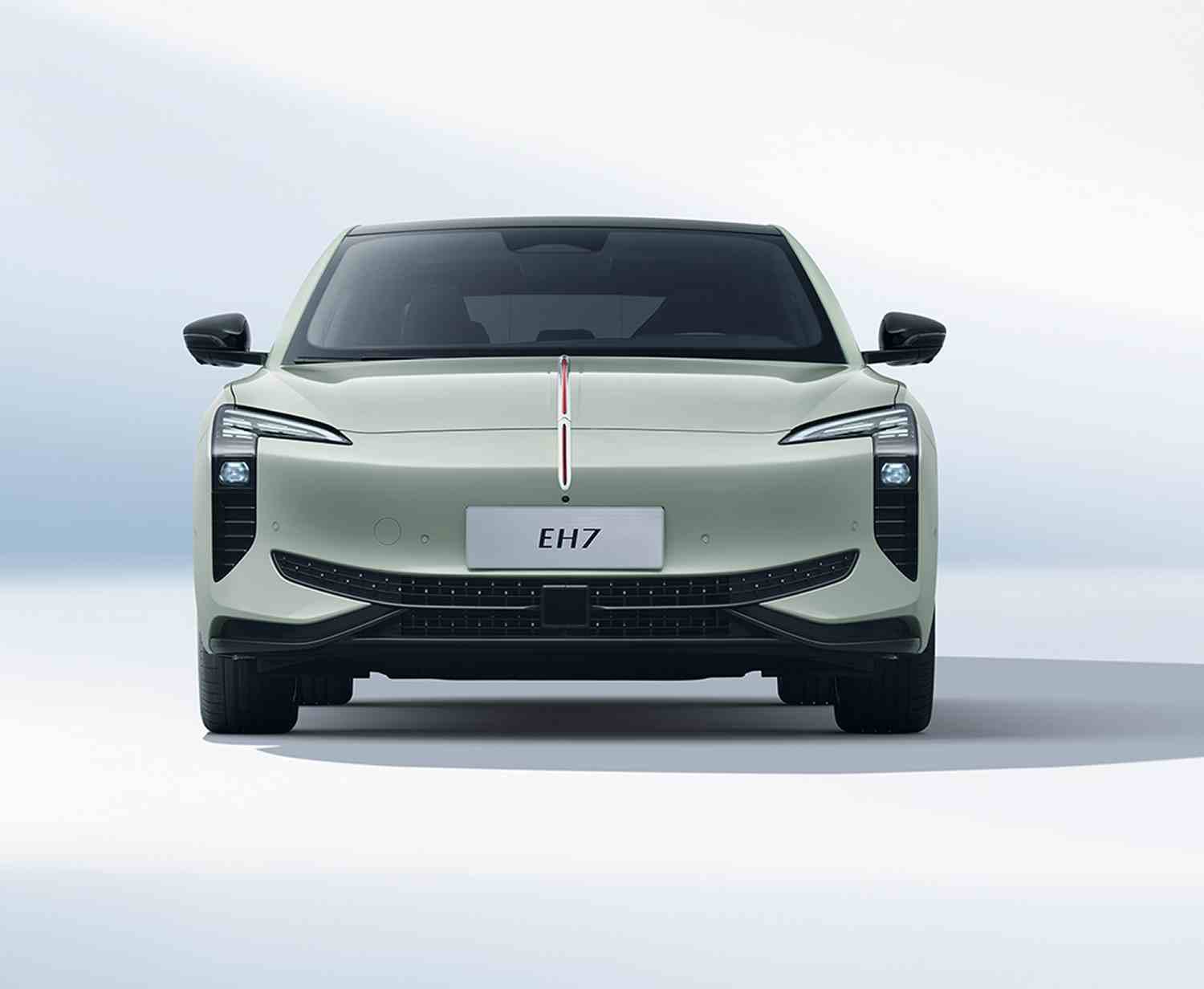 Hongqi EH7 Exclusive 4WD