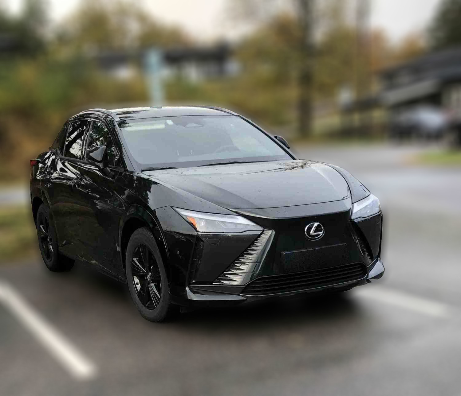 Lexus RZ 300e RZ 300 E Luxury Panotech